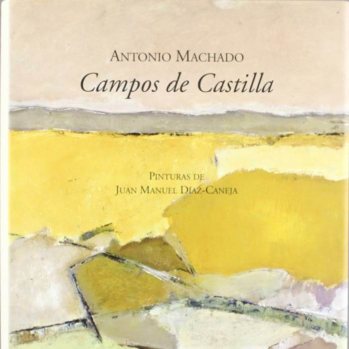 Foto del libro Campos de Castilla