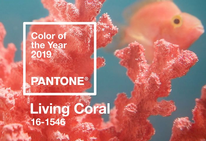 Foto de Living Coral, color Pantone para 2019