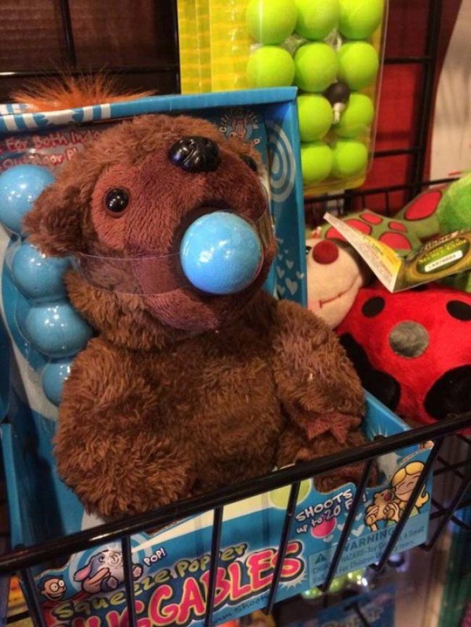 Foto de un oso de peluche con una bola en la boca