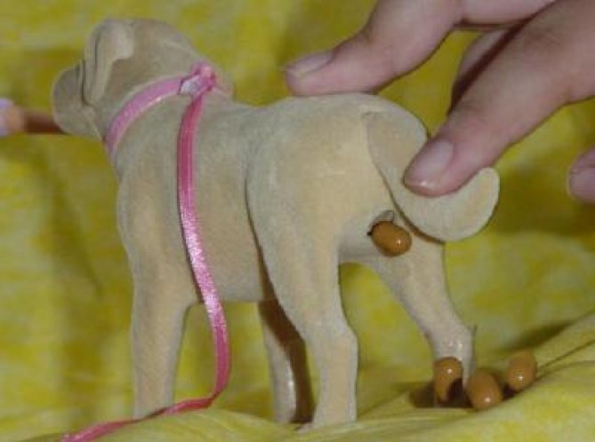 Foto de un perro de juguete haciendo popó